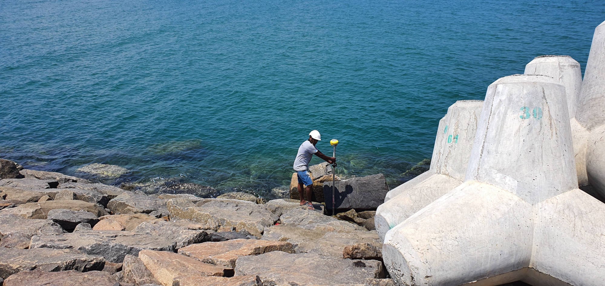 Nisvo Marine Survey