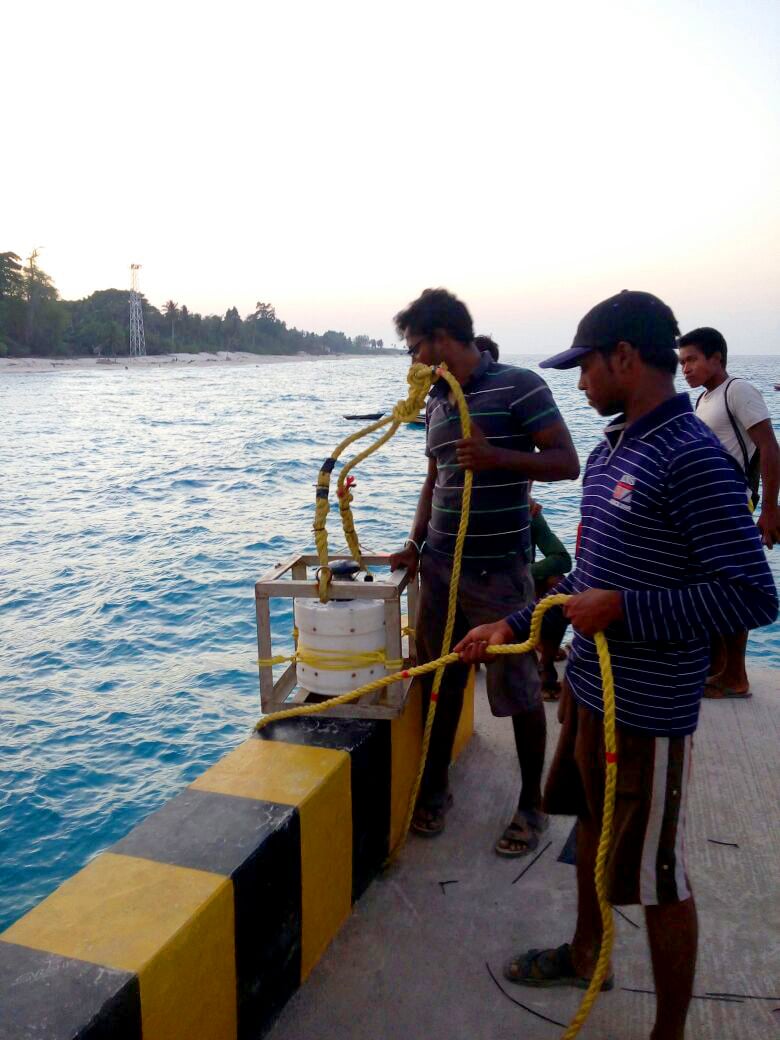 Nisvo Marine Survey