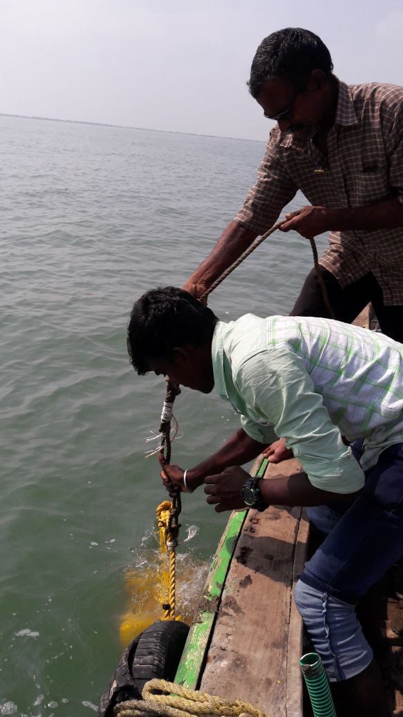 Nisvo Marine Survey